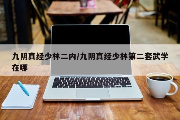 九阴真经少林二内/九阴真经少林第二套武学在哪